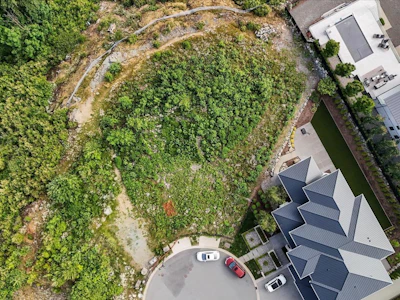 35410 Mahogany Drive - 2