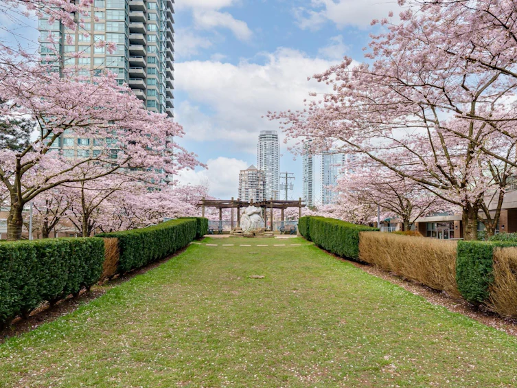 2105-4398 Buchanan Street, Burnaby, BC, V5C 6R7 - 29