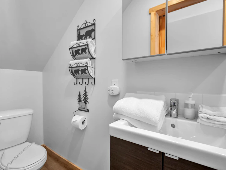 47075 Snowmist Drive, Mission, BC, V0M 1A1 - 26