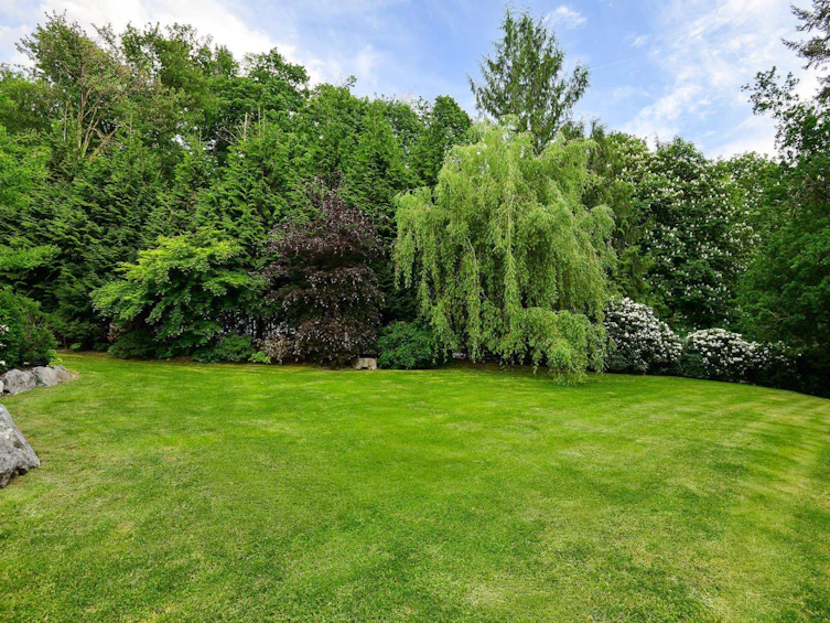 32500 Verdon Way, Abbotsford, BC, V2T 7Y3 - 31