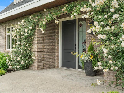 9808 Chapman Road - 3
