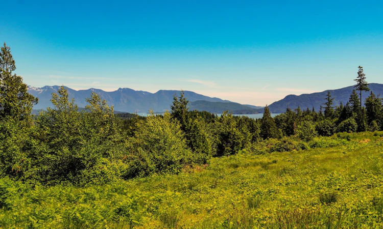LOT I Panorama Parkway