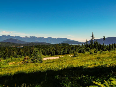 LOT I Panorama Parkway - 4