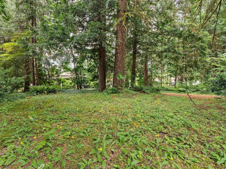 100 Robertson Crescent, Hope, BC, V0X 1L4 - 40