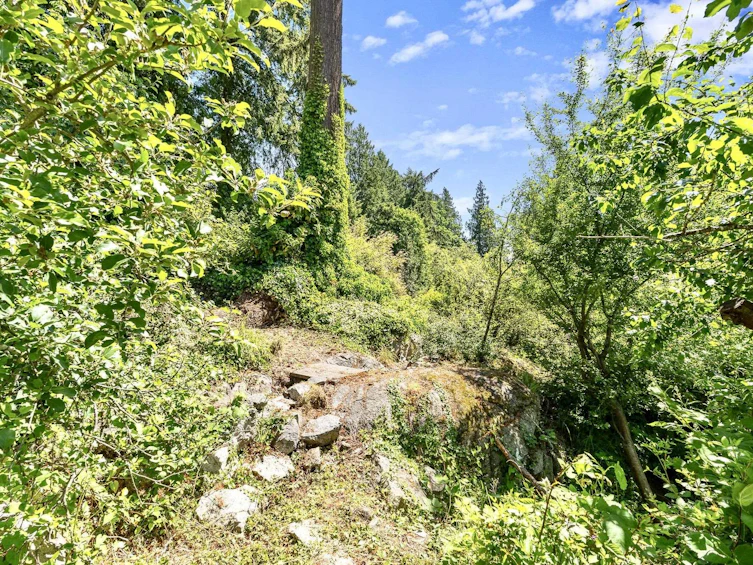 4704 Dogwood Lane, West Vancouver, BC, V7W 1J1 - 14