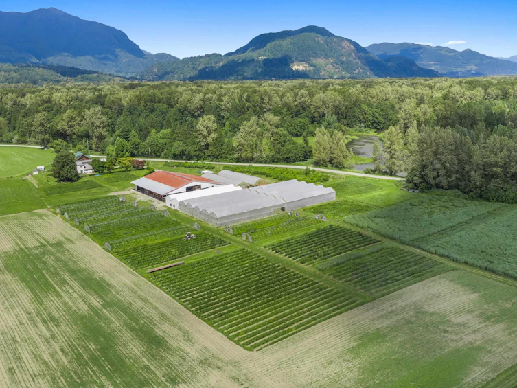 9974 Tremblay Road, Mission, BC, V0M 1G0 - 19
