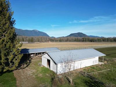 9974 Tremblay Road - 5