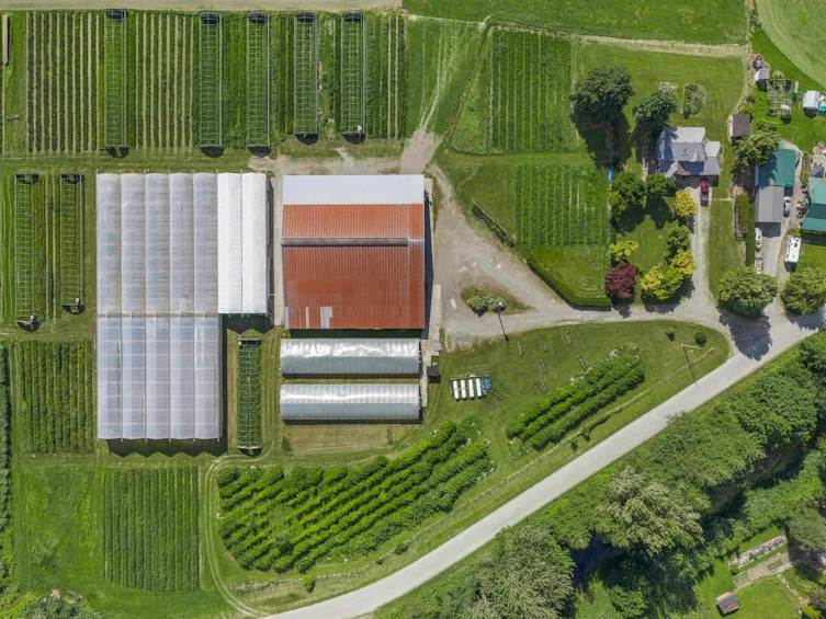 9974 Tremblay Road, Mission, BC, V0M 1G0 - 18