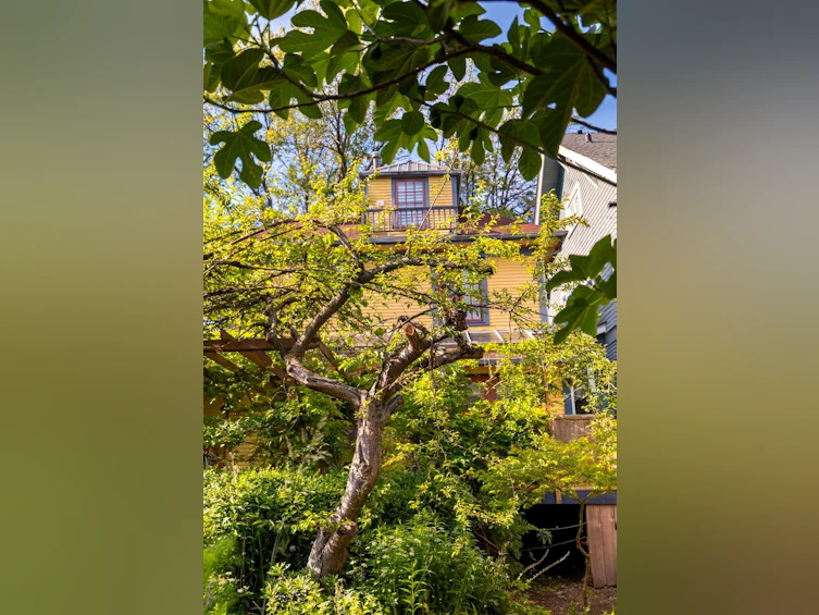 1746 William Street, Vancouver, BC, V5L 2R4 - 26