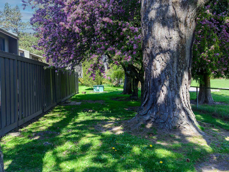 48-9460 Glenallan Drive, Richmond, BC, V7A 2S8 - 33