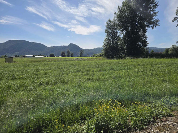 34561 Fore Road, Abbotsford, BC, V3G 1R6 - 21