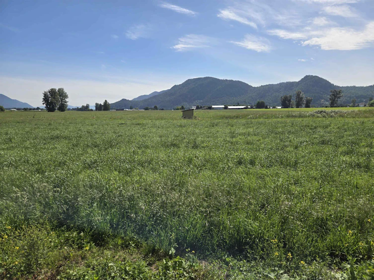 34561 Fore Road, Abbotsford, BC, V3G 1R6 - 20