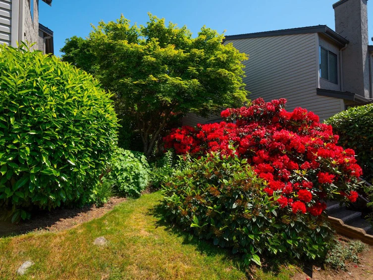 10-230 W 14 Street, North Vancouver, BC, V7M 1P3 - 20