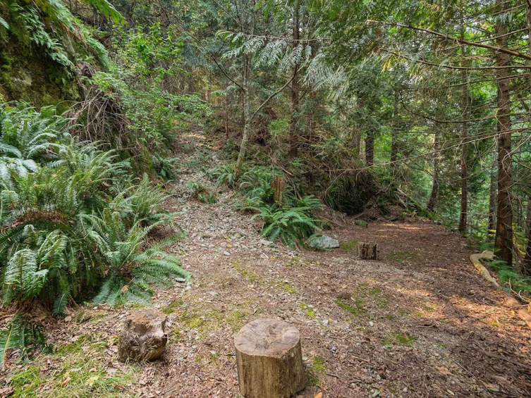 1558 Mount Gardner Road, Bowen Island, BC, V0N 1G2 - 26