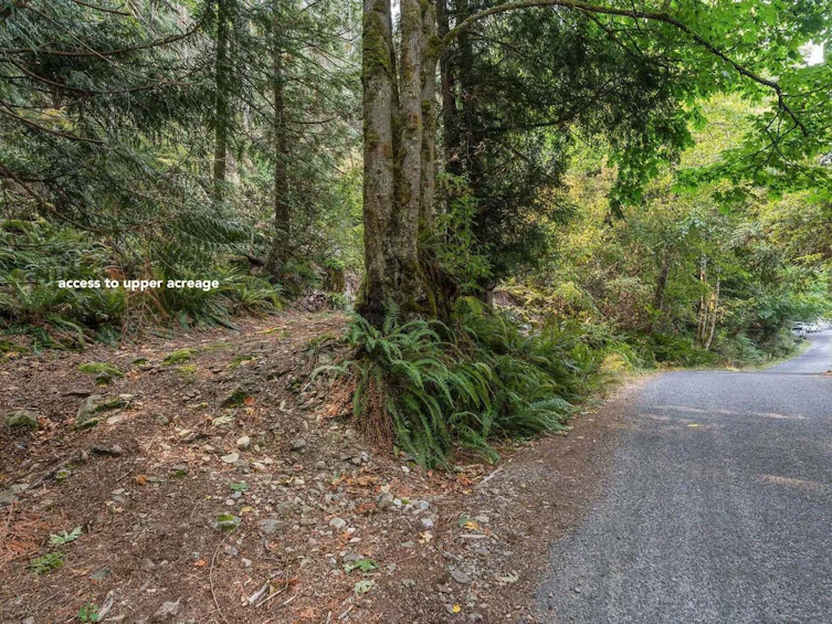1558 Mount Gardner Road, Bowen Island, BC, V0N 1G2 - 25