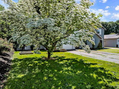 8880 Allard Street - 3