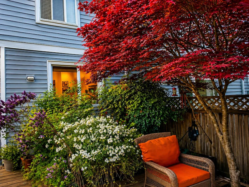 21072 80th Avenue, Langley BC V2Y 0H6