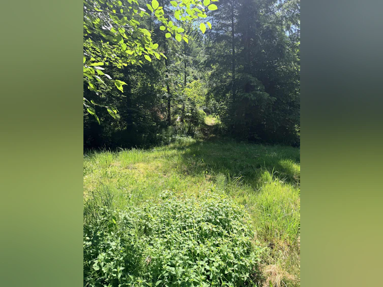 1260 Adams Road, Bowen Island, BC, V0N 1G2 - 13
