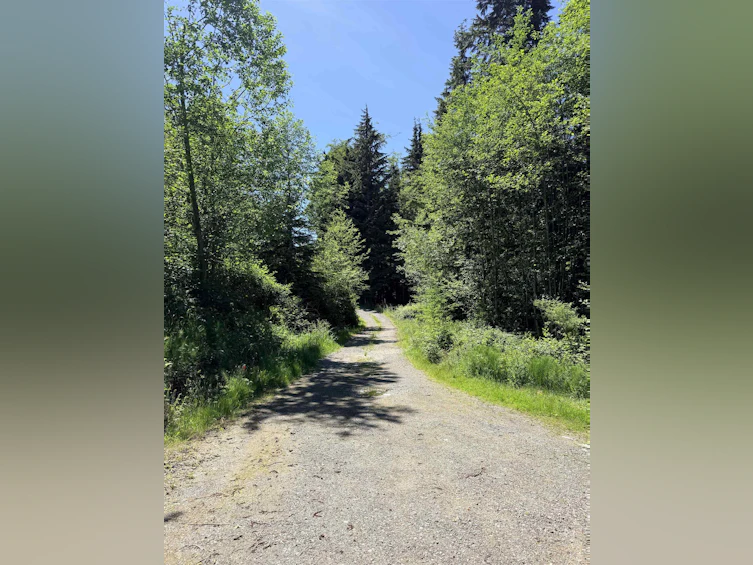 1260 Adams Road, Bowen Island, BC, V0N 1G2 - 2