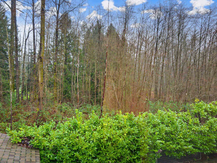 21686 93 Avenue, Langley, BC, V1M 4E1 - 5