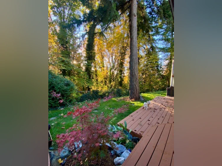 10987 Collings Place, Delta, BC, V4C 7E7 - 36