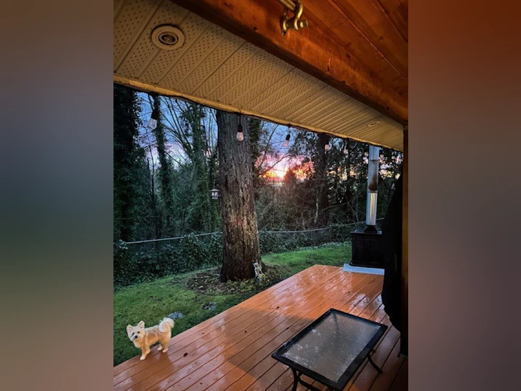 10987 Collings Place, Delta, BC, V4C 7E7 - 34