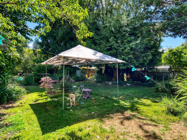 13750 Blackburn Avenue, Surrey, BC, V4B 2Y8 - 30