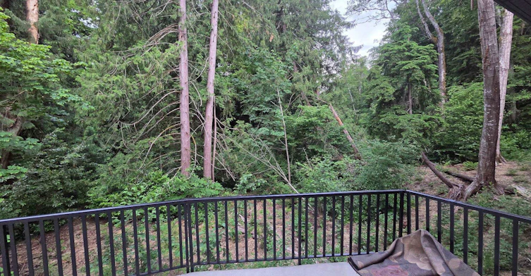 3781 201 Street, Langley, BC, V3A 6H2 - 12