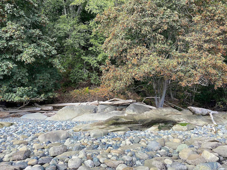 Lot 19 Dl 71, Vancouver, BC, V0N 1P0 - 10