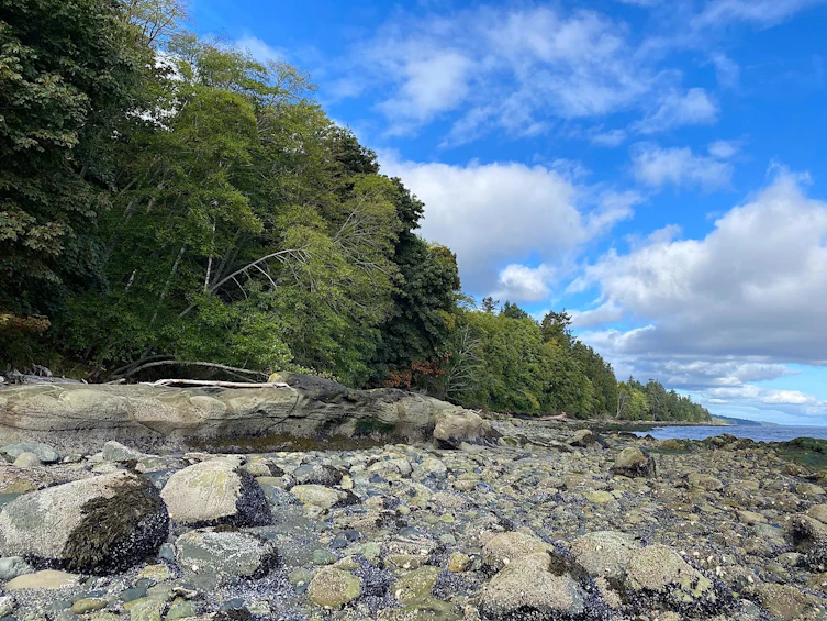 Lot 19 Dl 71, Vancouver, BC, V0N 1P0 - 19