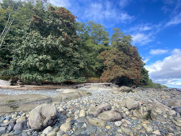 Lot 19 Dl 71, Vancouver, BC, V0N 1P0 - 8