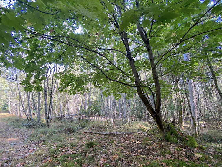 Lot 19 Dl 71, Vancouver, BC, V0N 1P0 - 22