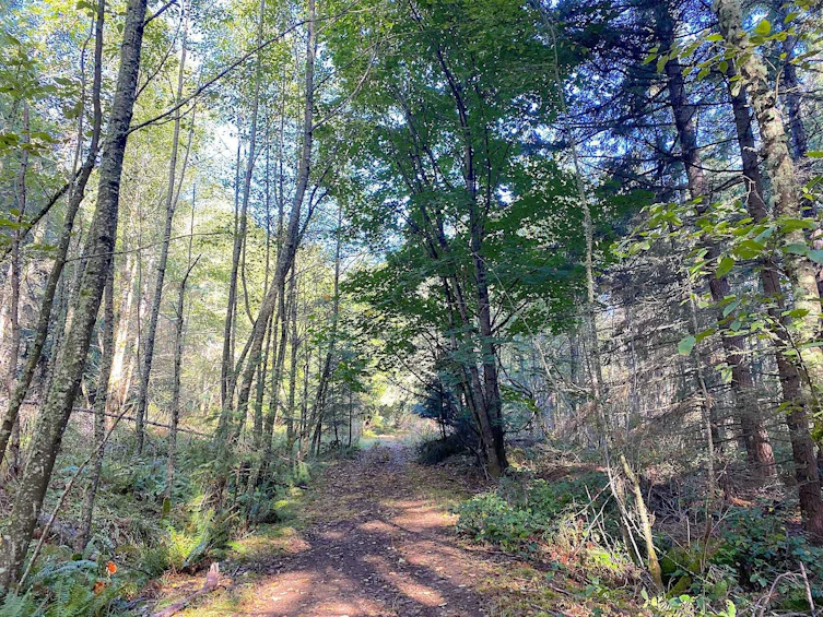 Lot 19 Dl 71, Vancouver, BC, V0N 1P0 - 26