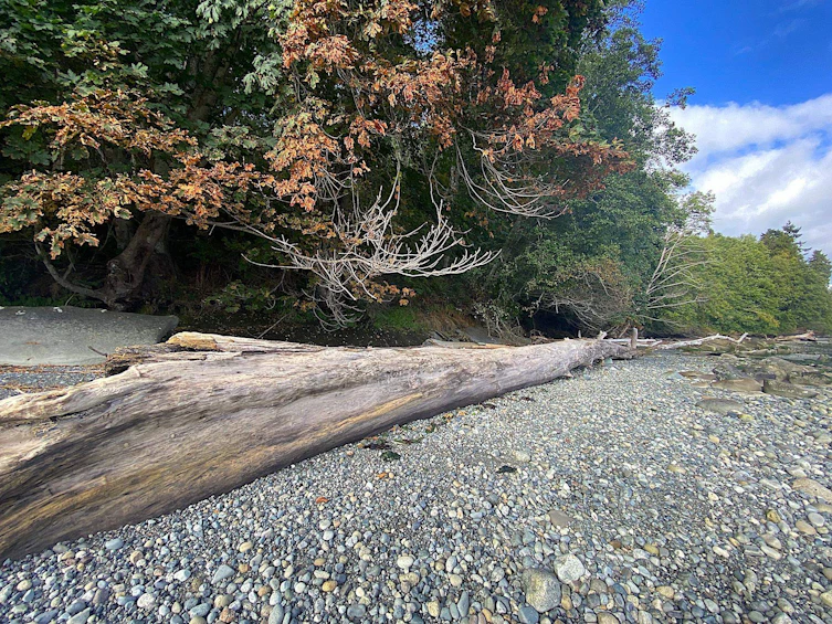 Lot 19 Dl 71, Vancouver, BC, V0N 1P0 - 11