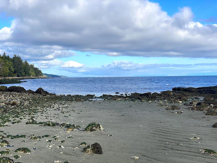 Lot 19 Dl 71, Vancouver, BC, V0N 1P0 - 15