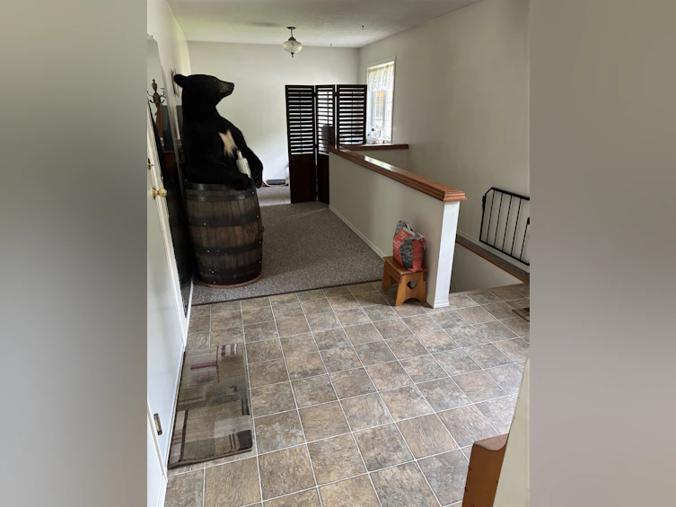 7253 Watch Lake Road, Lone Butte, BC, V0K 1X0 - 5