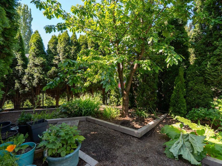 26838 32 Avenue, Langley, BC, V4W 3E3 - 30