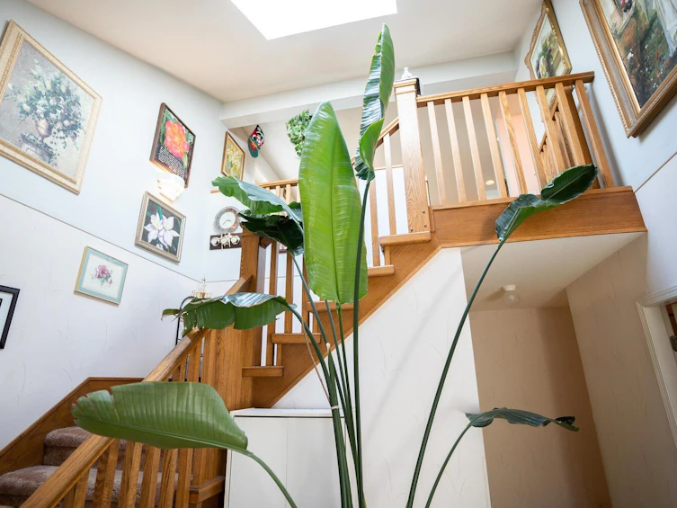 4835 59a Street, Delta, BC, V4K 4L5 - 2