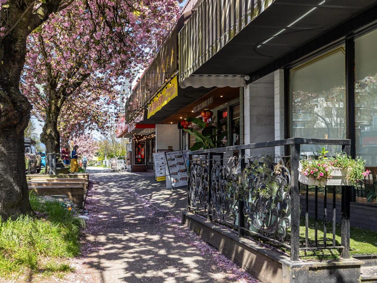 3918 Carolina Street, Vancouver, BC, V5V 1X8 - 36