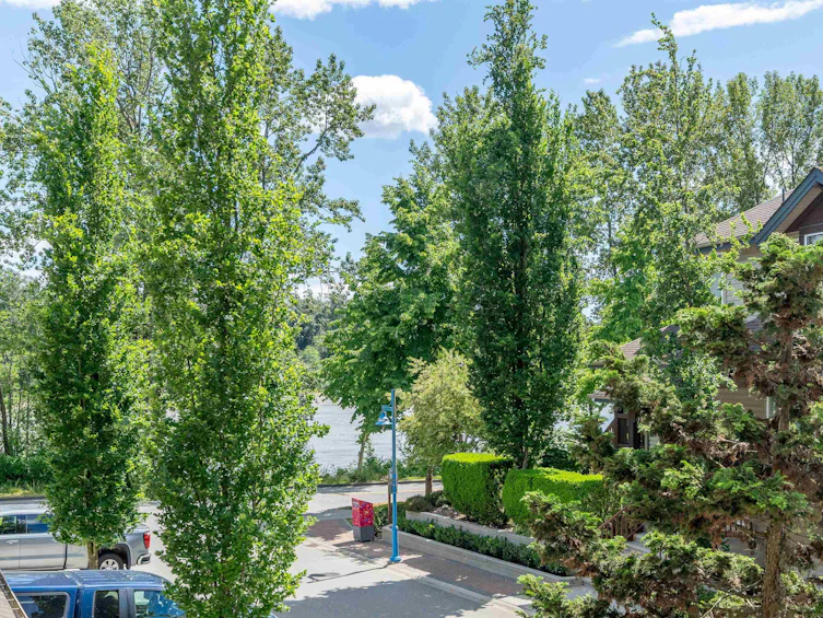 23-2387 Argue Street, Port Coquitlam, BC, V3C 6P5 - 20