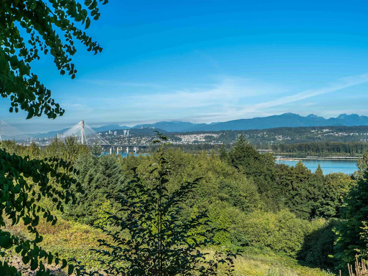 11455 154a Street, Surrey, BC, V3R 2V7 - 32