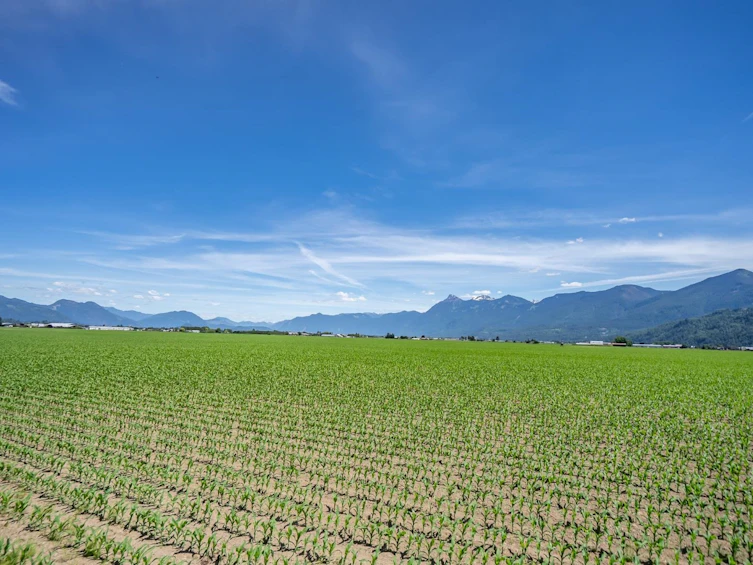 97-46213 Hakweles Road, Chilliwack, BC, V4Z 0C6 - 33