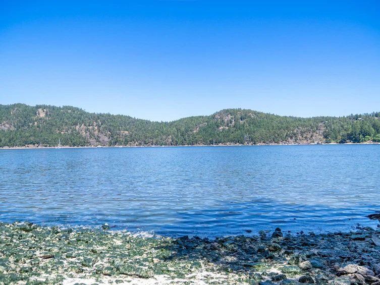 7911 Bedwell Drive, Pender Island, BC, V0N 2M2 - 6