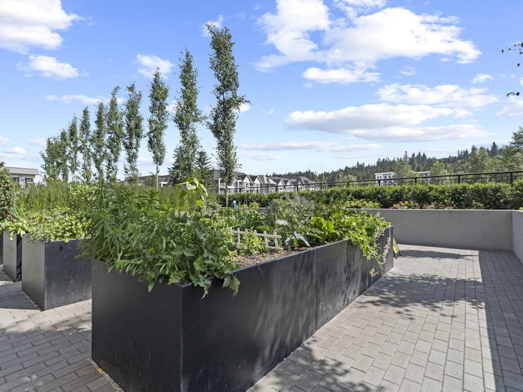 222-3131 Murray Street, Port Moody, BC, V3H 0L9 - 30