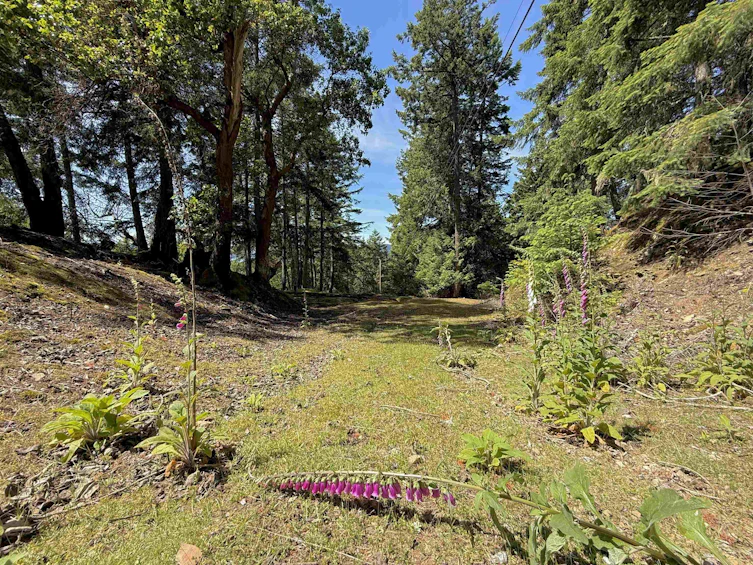 346 Deacon Hill Road, Mayne Island, BC, V0N 2J2 - 17