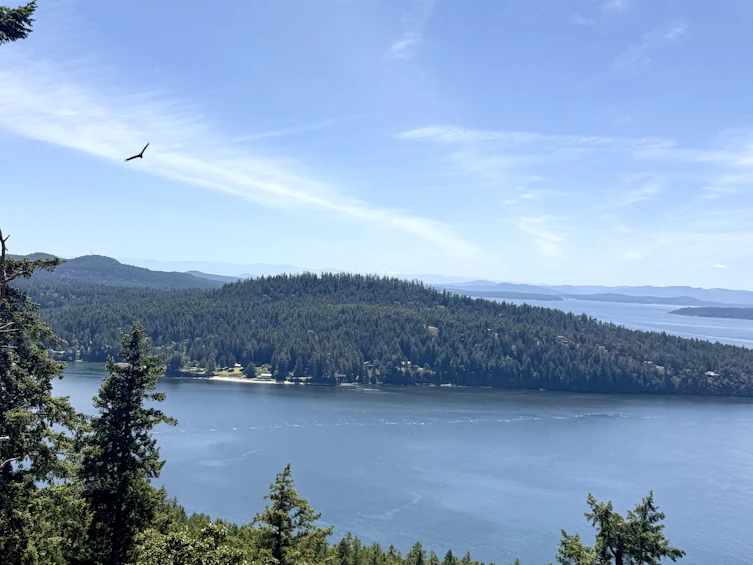 346 Deacon Hill Road, Mayne Island, BC, V0N 2J2 - 4
