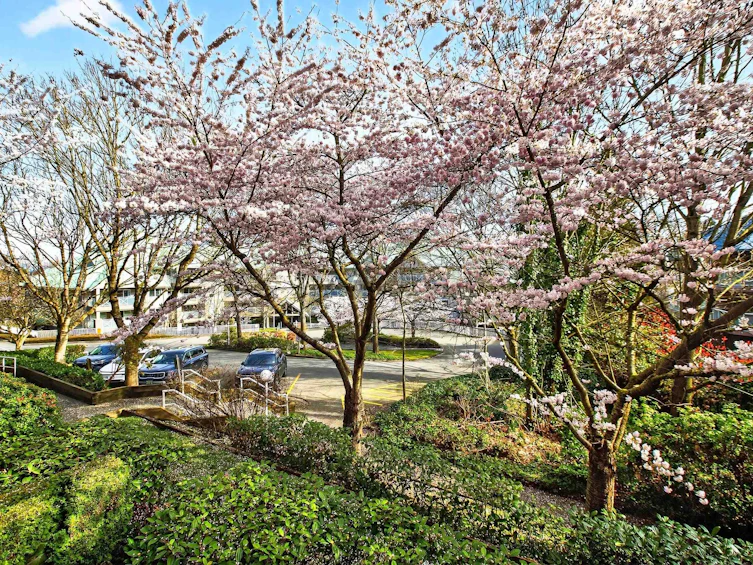 205-15140 29a Avenue, Surrey, BC, V4P 3B1 - 26