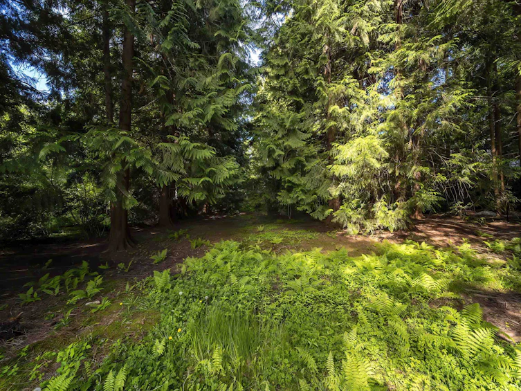 4067 Sefton Street, Port Coquitlam, BC, V3B 3S5 - 29