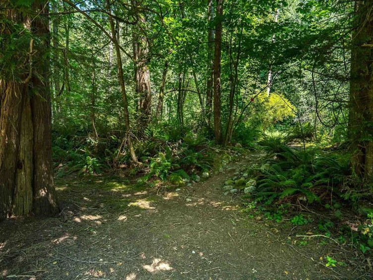 23463 Dogwood Avenue, Maple Ridge, BC, V2X 4S4 - 21