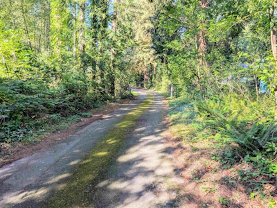 23463 Dogwood Avenue - 2